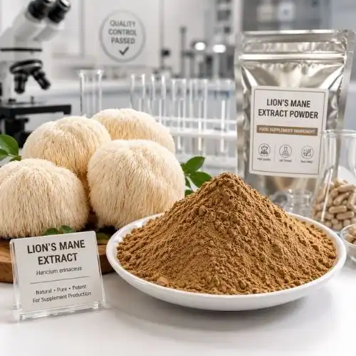 Can Lion’s Mane Extract Be Used for Supplement Production?